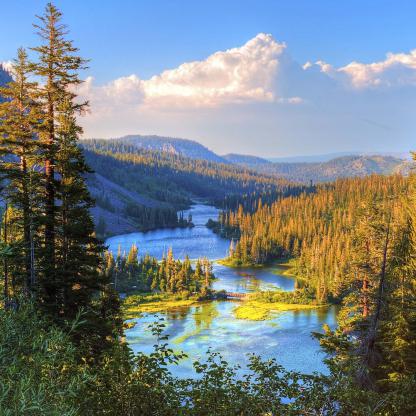 Accompagnement ISO 14001